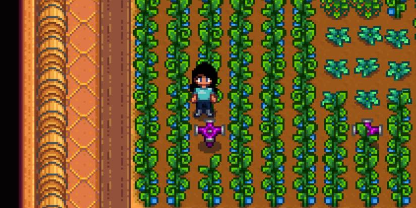 ancient-fruit-greenhouse