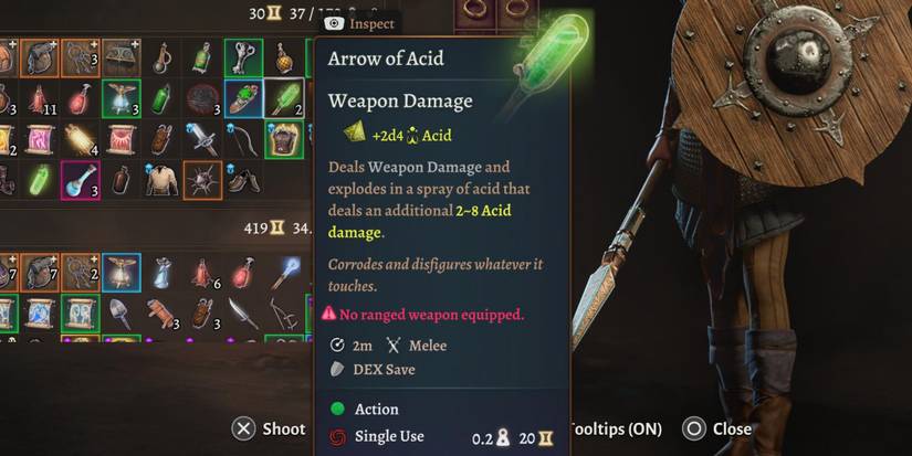 An Arrow of Acid in Baldur's Gate 3