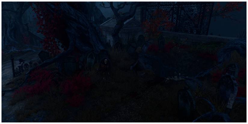 Baldur's Gate 3, Skeleton In House Of Healing Graveyard