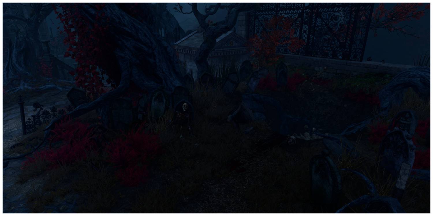 Baldur's Gate 3, Skeleton In House Of Healing Graveyard