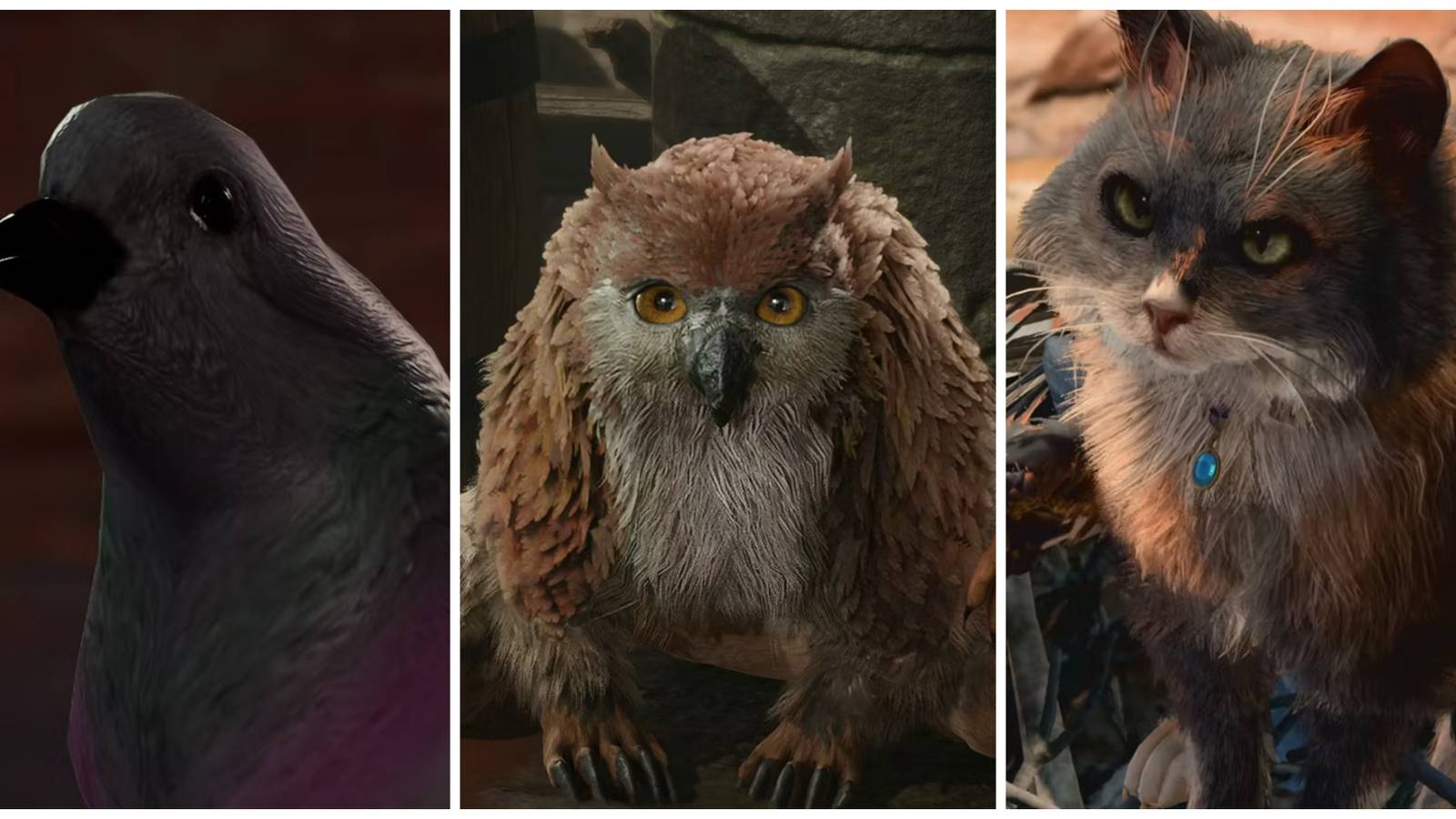 Baldur's Gate 3, Courier Pigeon, Owlbear Cub, Tara The Tressym