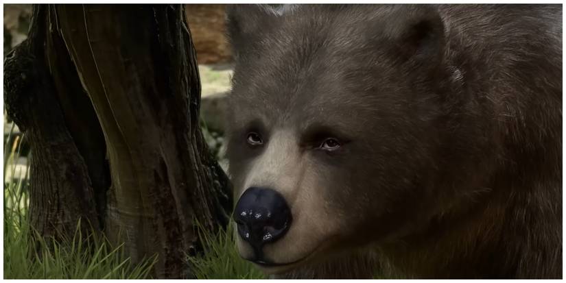 Baldur's Gate 3, Bosk The Bear