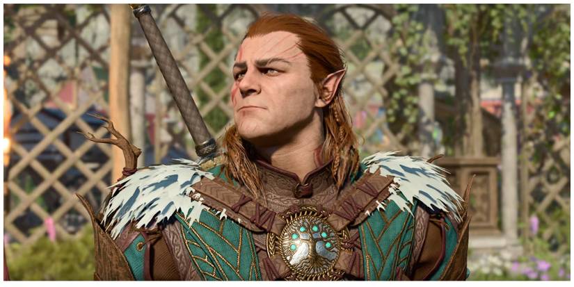 Baldur's Gate 3, Halsin Uncomfortable At Circus