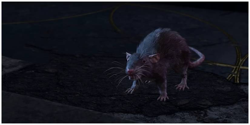 Baldur's Gate 3, Lyrthindor As A Rat