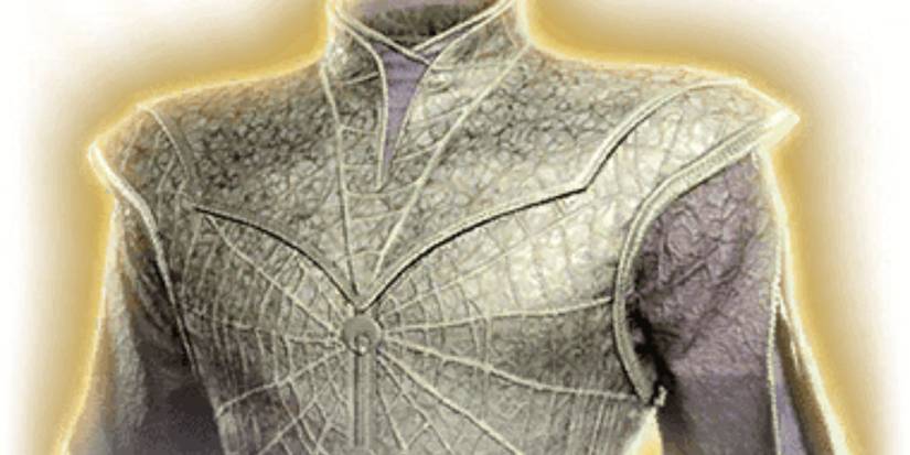 Baldur's Gate 3 Poisoner's Robe