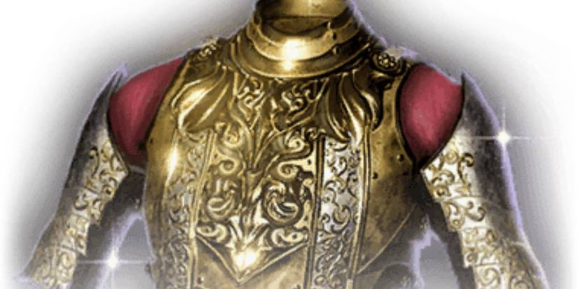 Baldur's Gate 3 Protective Plate