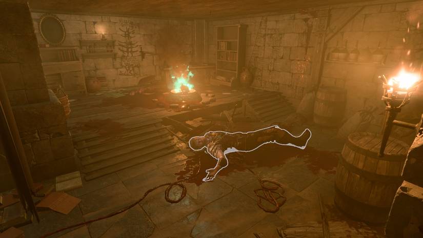 Baldurs Gate 3 Dribbles Arm