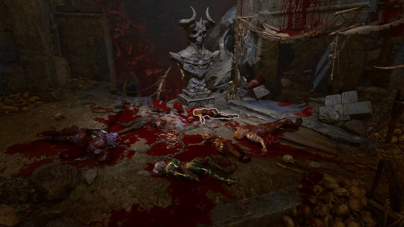 Baldurs Gate 3 Dribbles Head