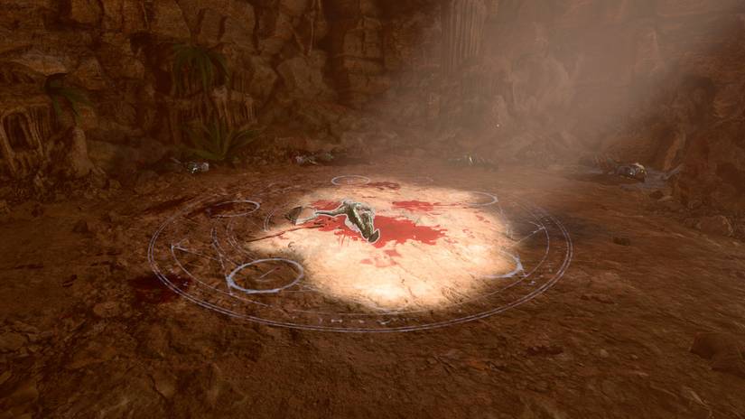 Baldurs Gate 3 Dribbles Leg