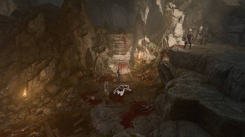 Baldurs Gate 3 Dribbles Torso