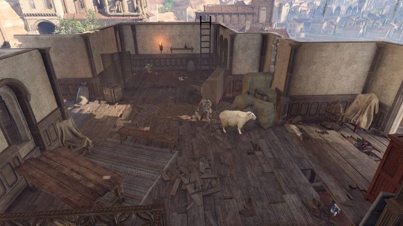 Baldurs Gate 3 Help Hag Sheep