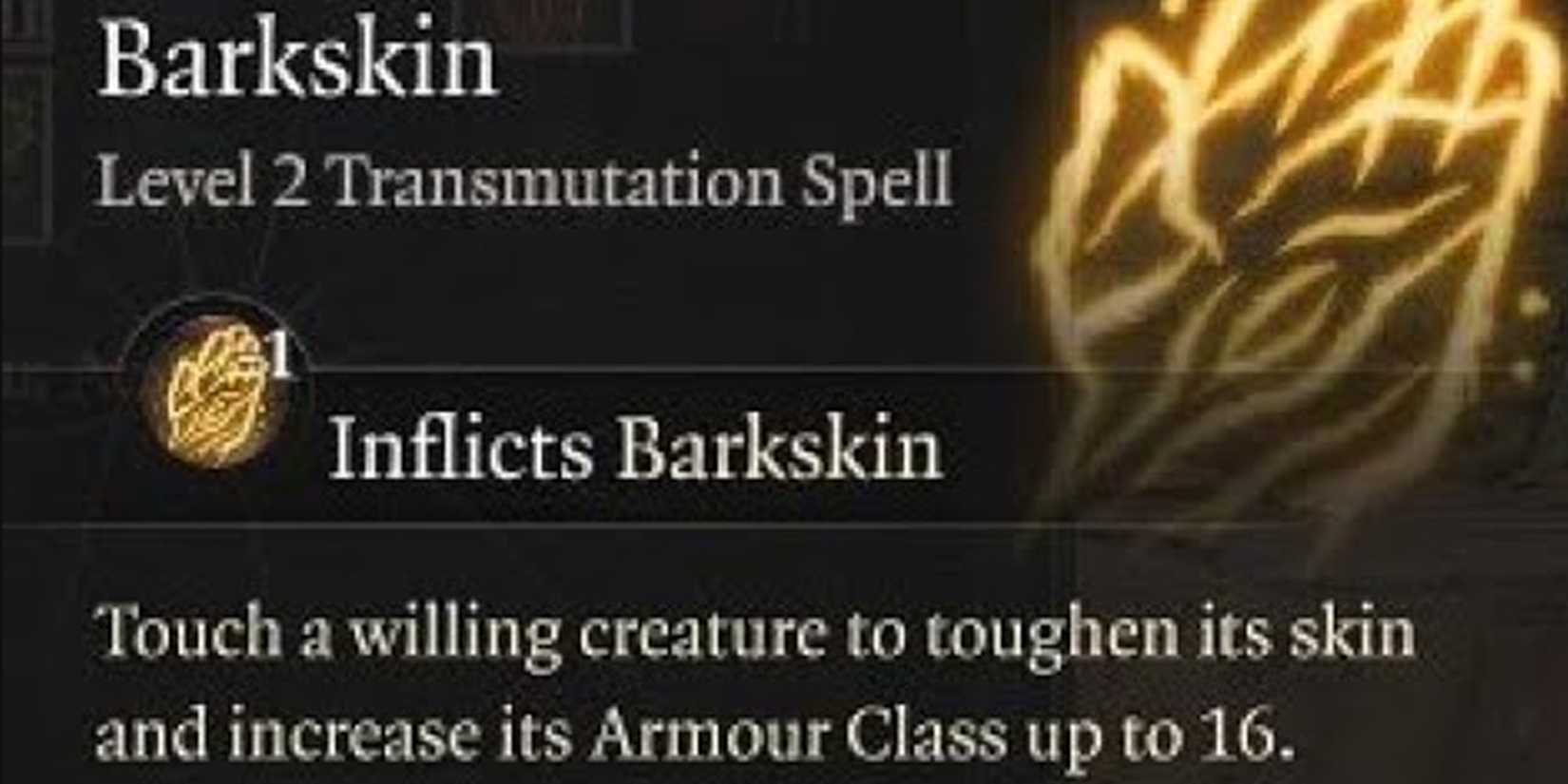 barkskin baldur's gate 3