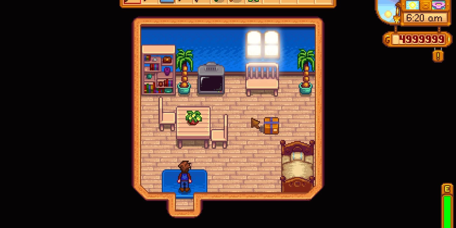 Basic layout of the farm in Stardew Valley