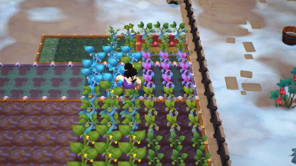 A player harvesting crops in their field in Fae Farm