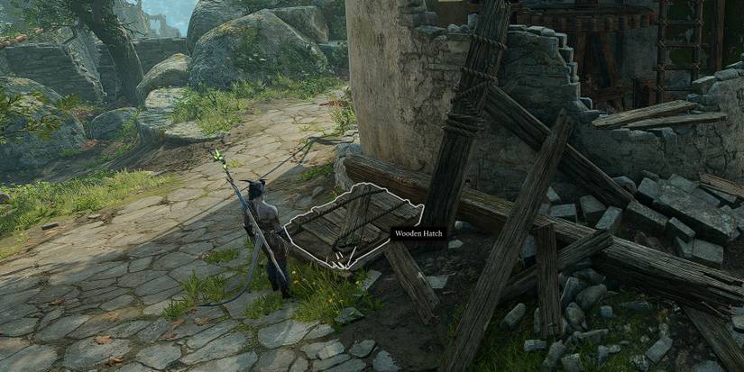Wooden Hatch to the gnome's backpack in Baldur's Gate 3.