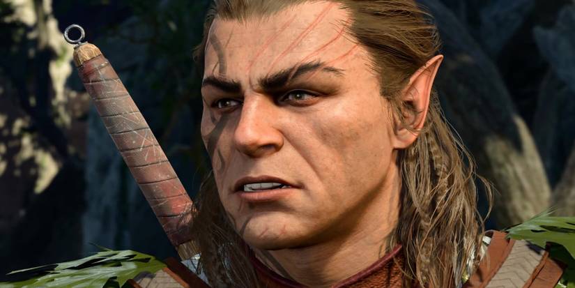 Close up of Halsin in Baldur's Gate 3