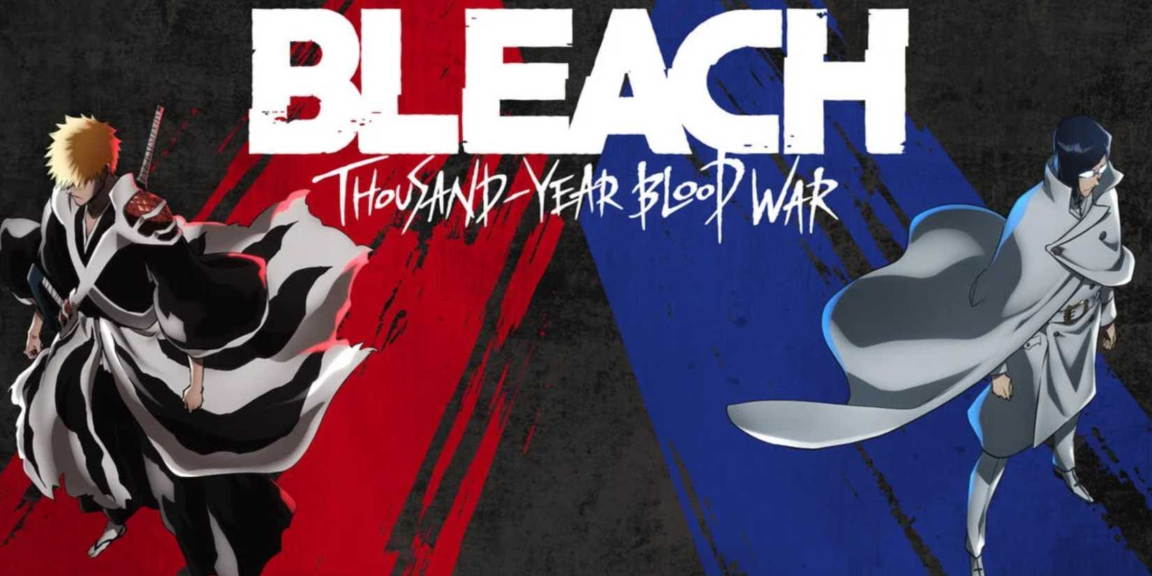 Samurai Soul Color Bleach: The Series Initial Concept, Explained