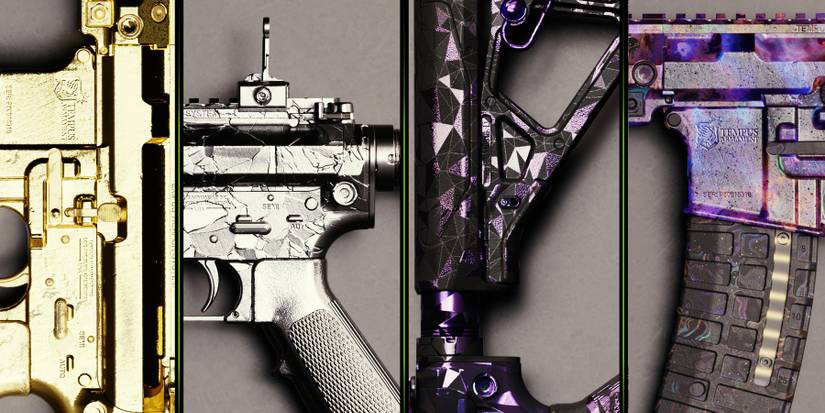 Call of Duty Modern Warfare 2 Weapon Camos