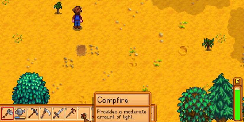 campfire inventory stardew valley