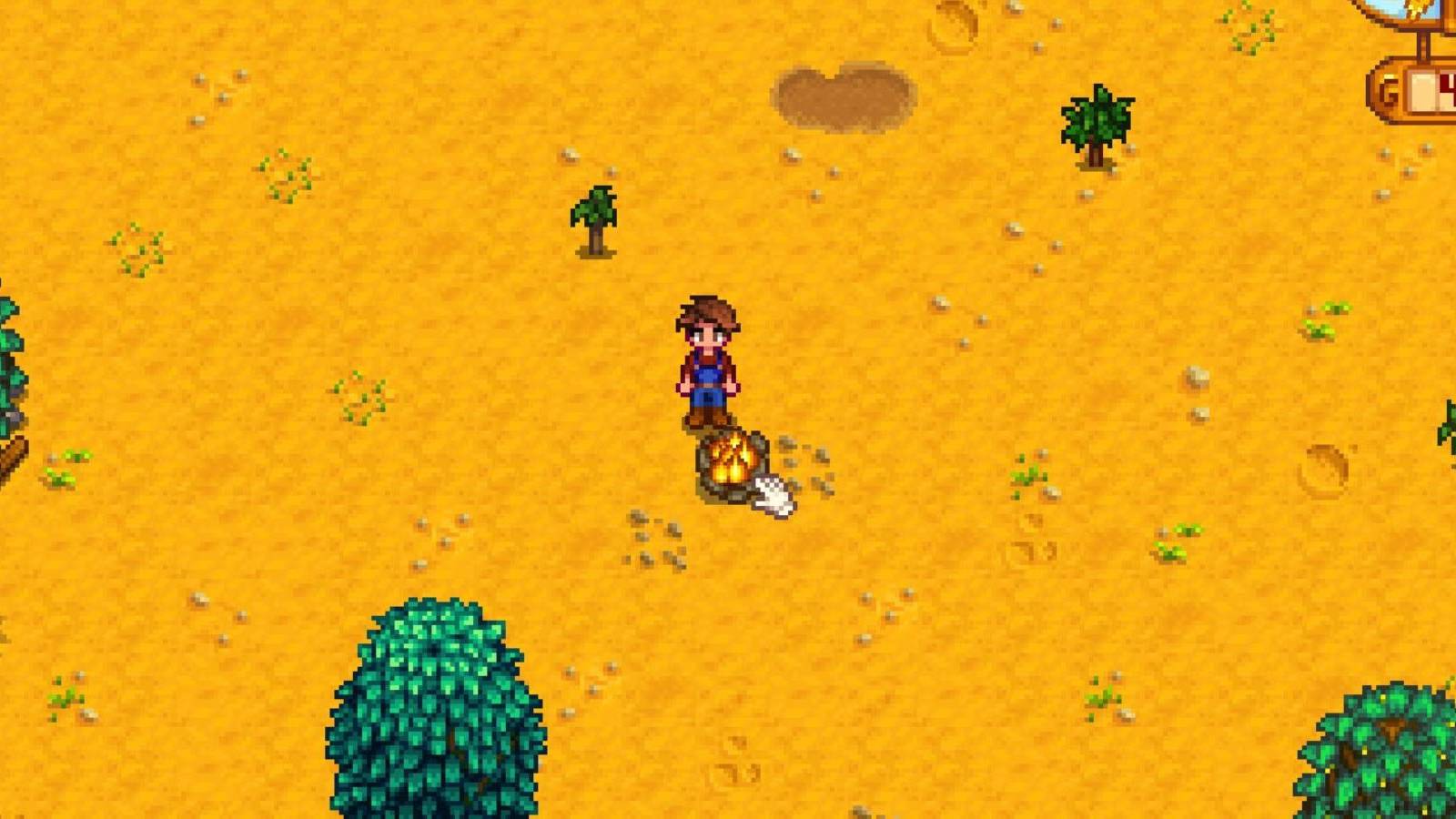 campfire stardew valley