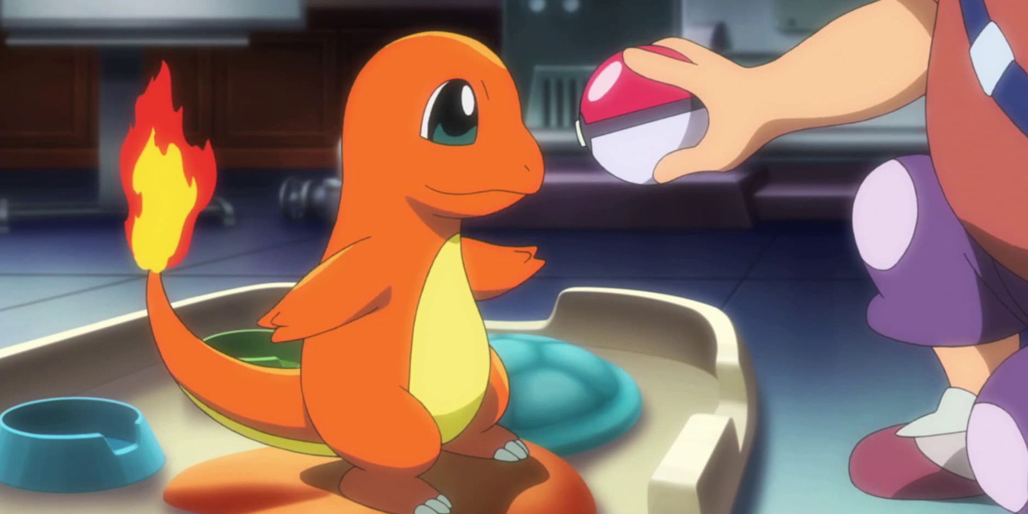 Charmander In The Pokemon Anime