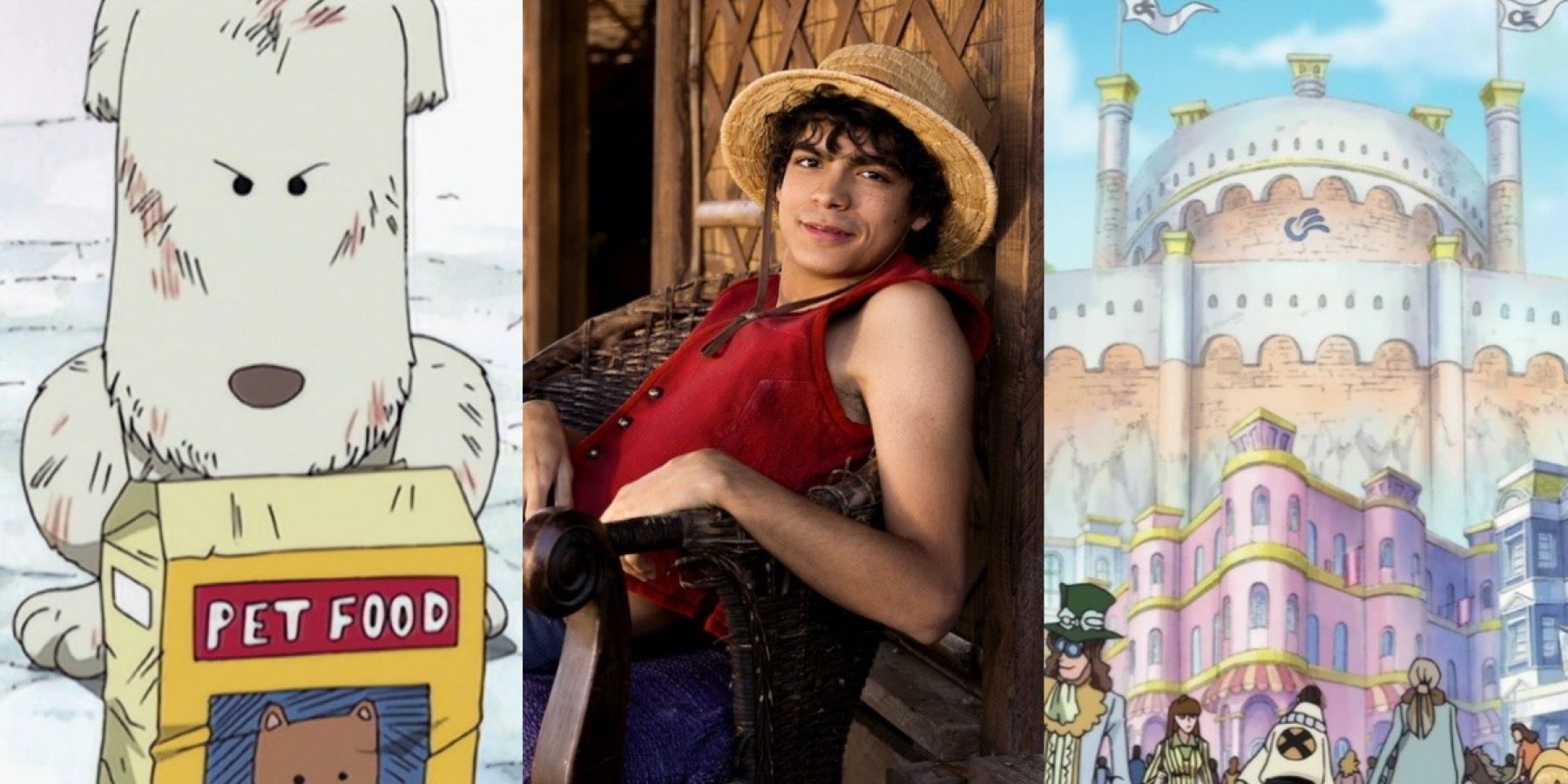 Chouchou luffy one piece live action