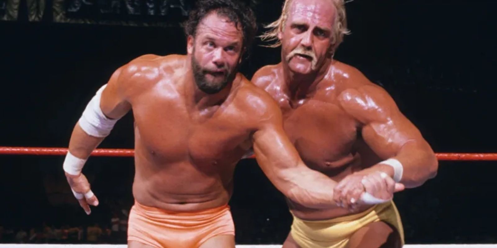 Macho Man vs. Hulk Hogan