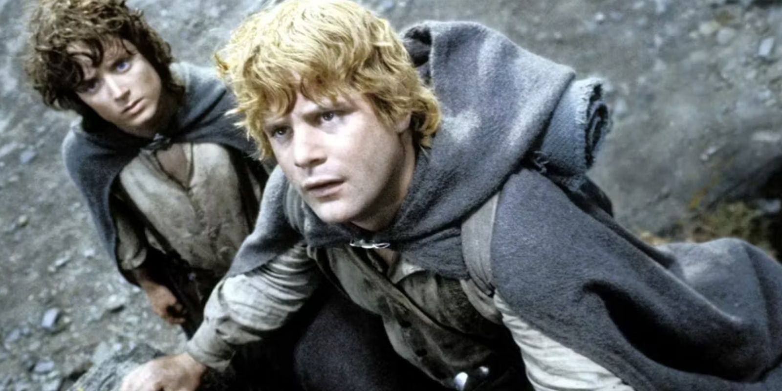 Elijah Wood as Frodo. Sean Astin as Sam.