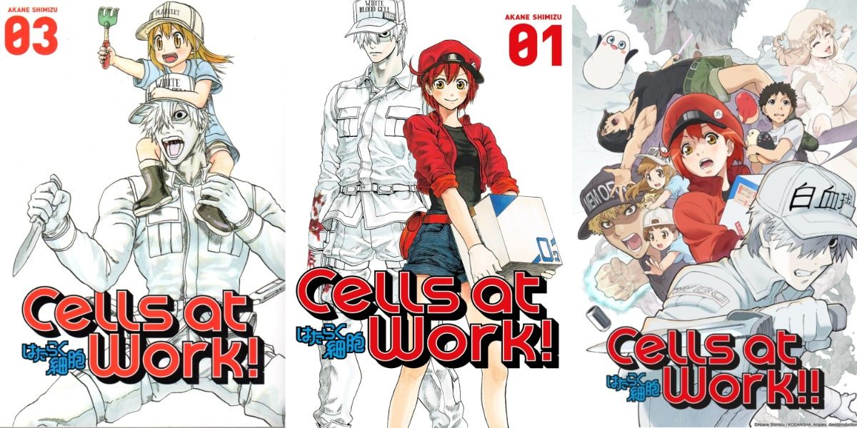 Cells At Work! Manga