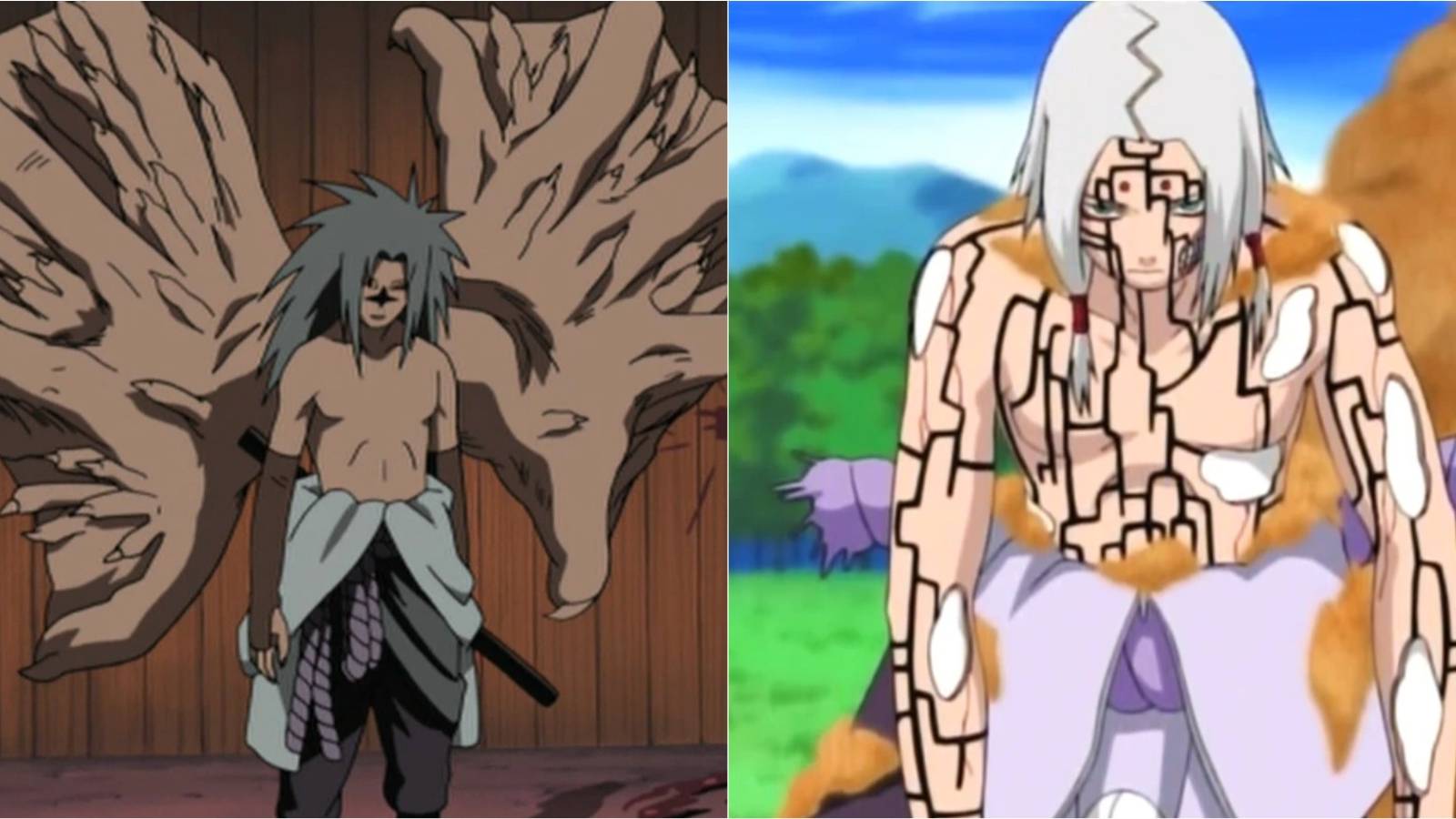 Sasuke and Kimimaro's Curse Marks