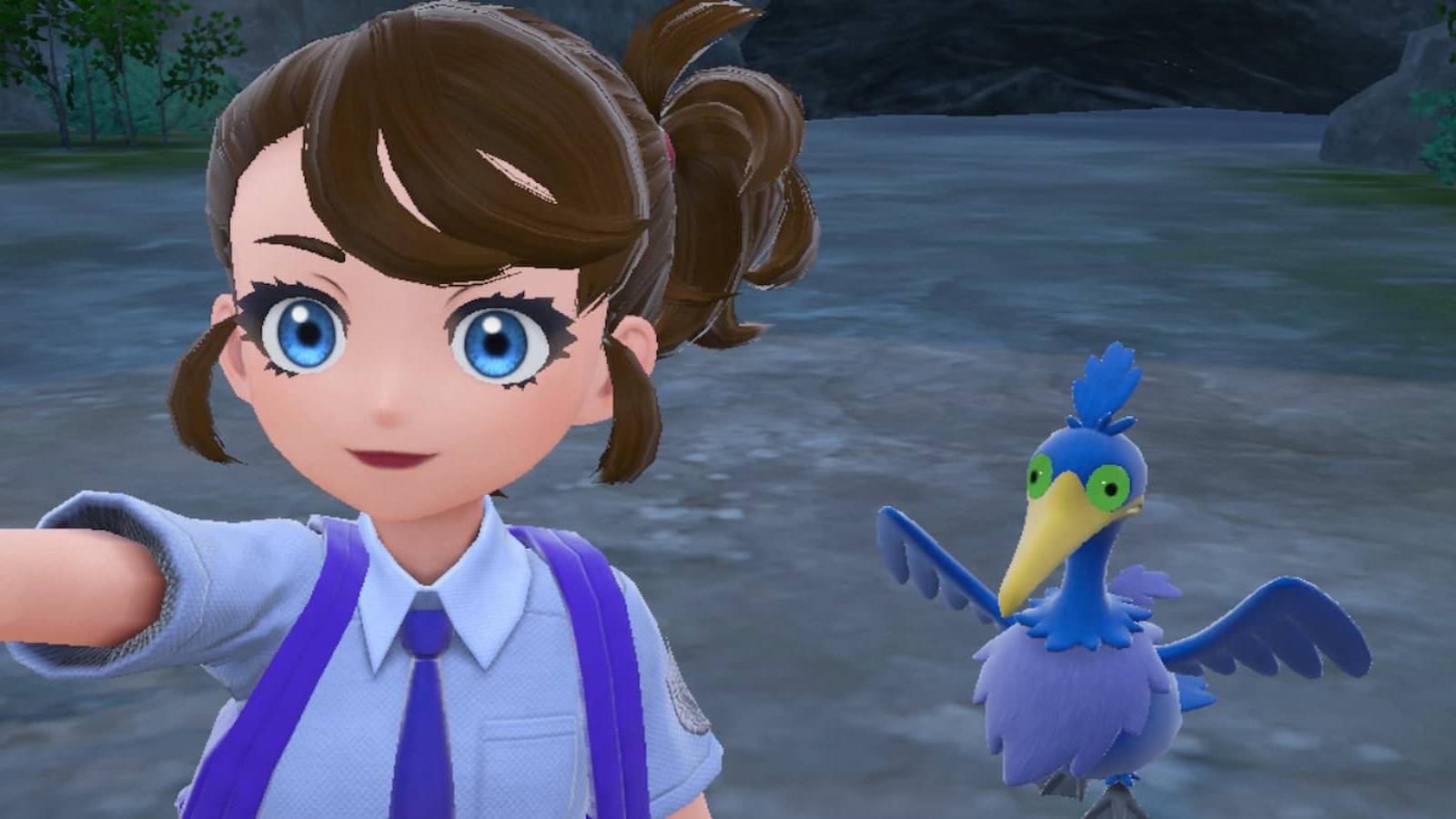 Cramorant-Pokemon-Scarlet-and-Violet