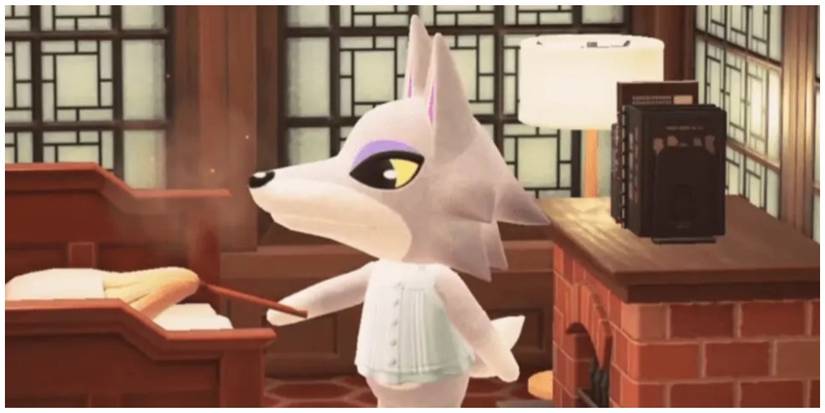 Fang from Animal Crossing dusting his bedroom 