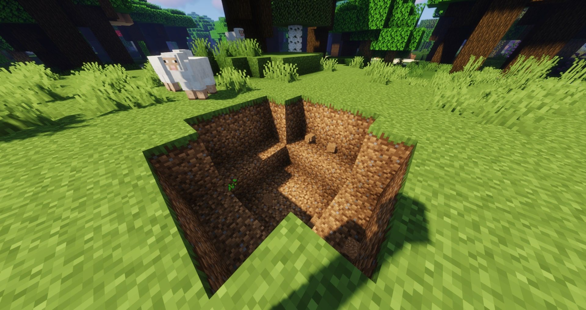 Creeper Hole in Minecraft