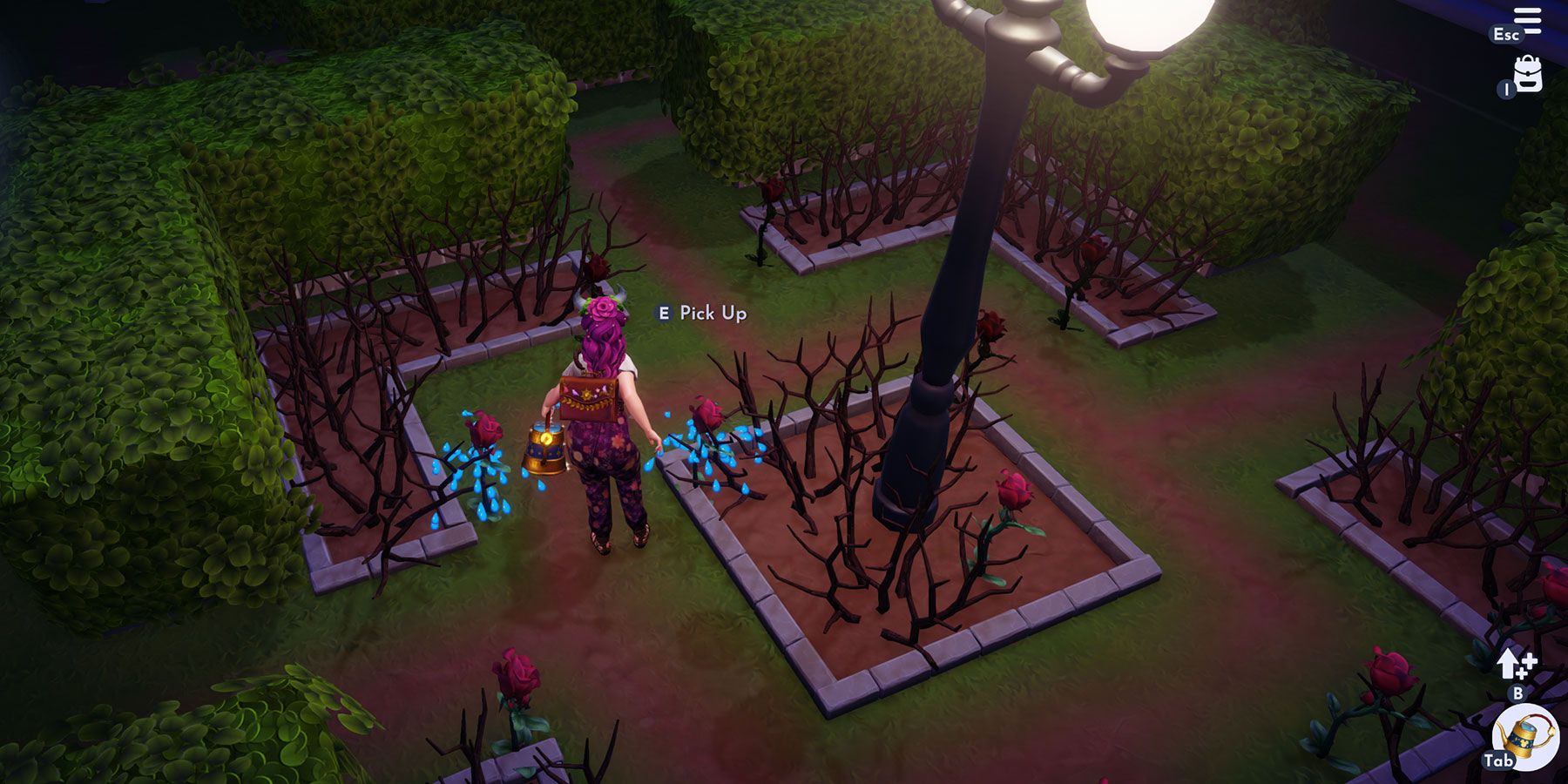 Watering Roses in Beauty and the Beast realm in Disney Dreamlight Valley.