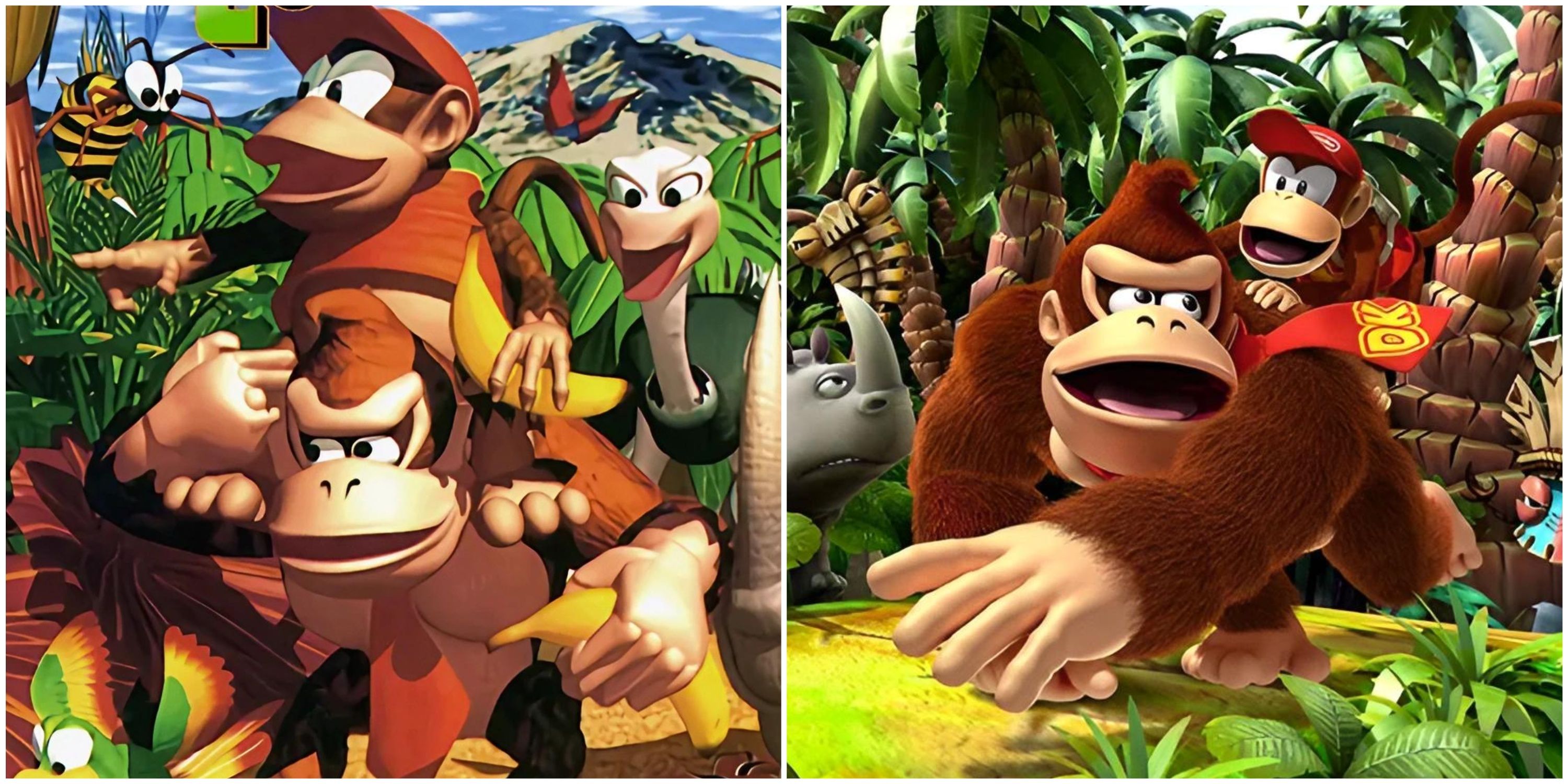 Donkey Kong Country and Donkey Kong Country Returns