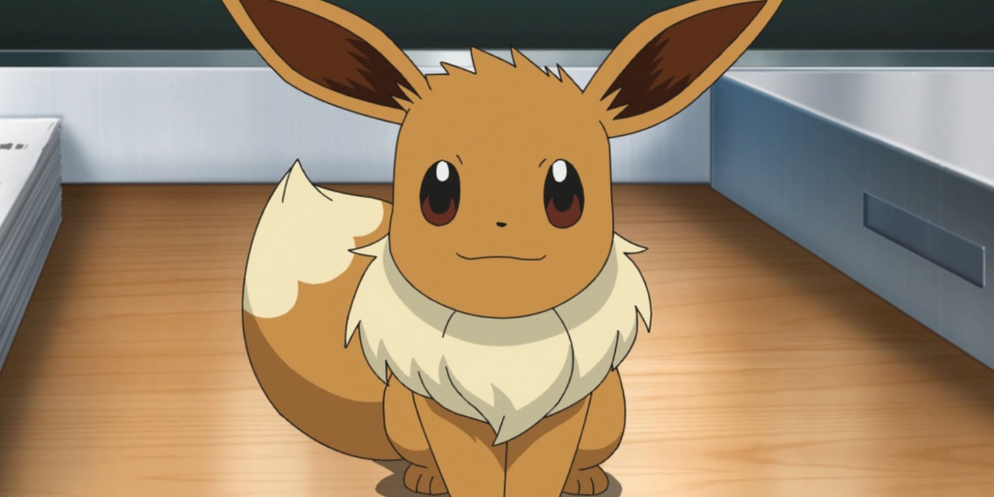 Eevee In The Pokemon Anime