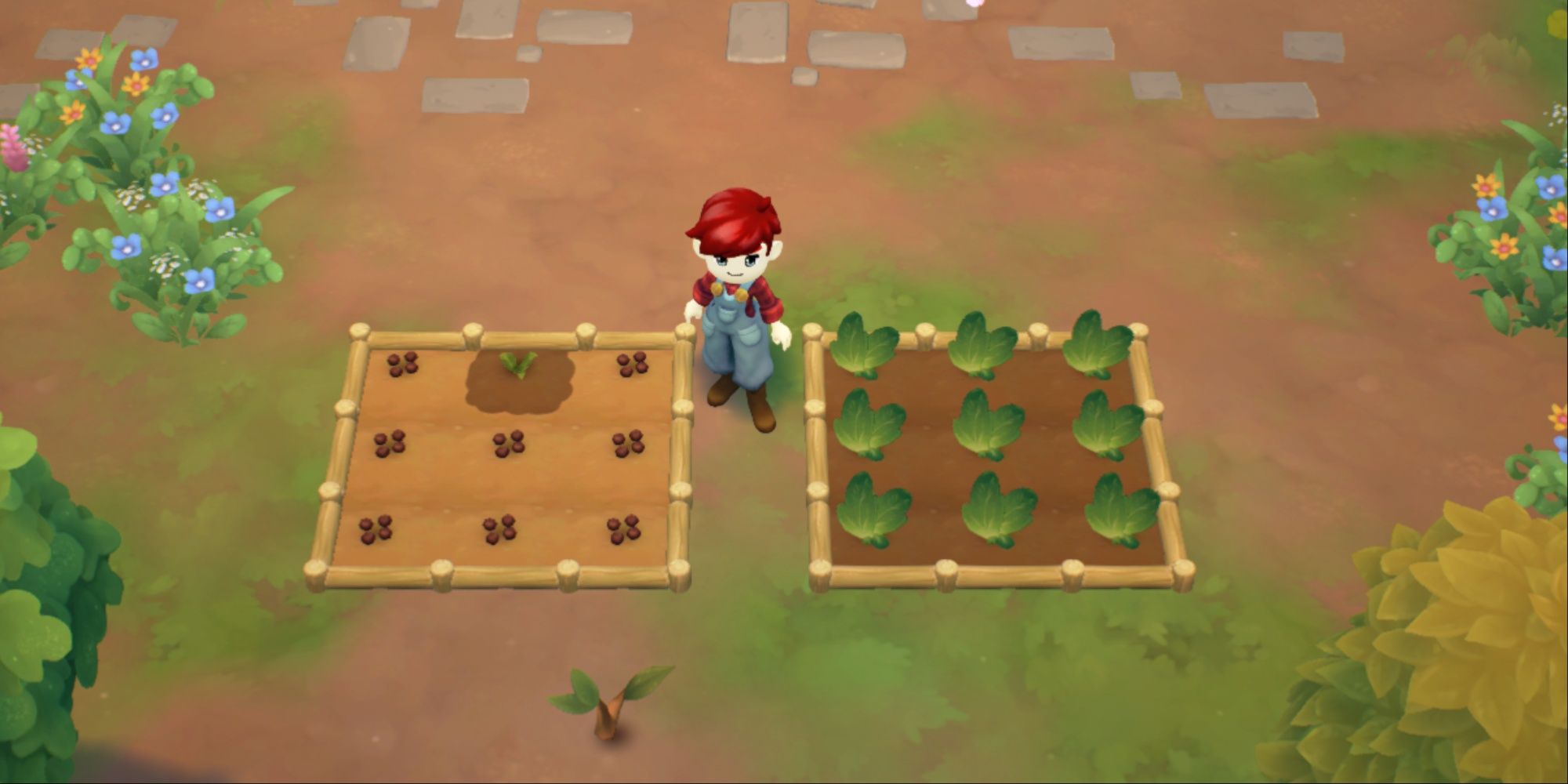 Fae Farm crop beds and sapling