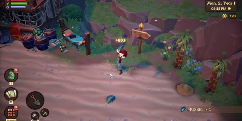 Fae Farm player picking up a mussel