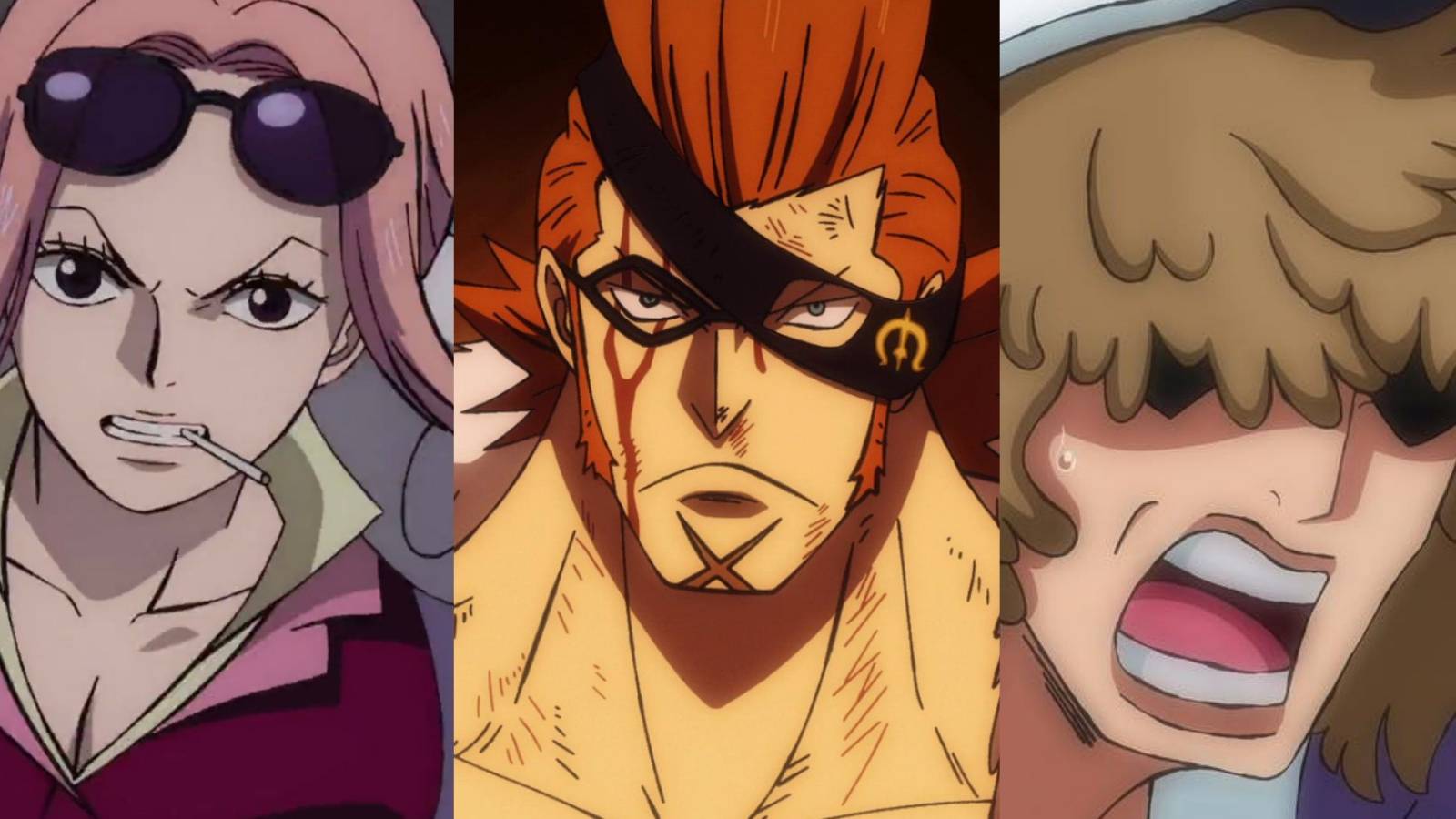 featured one piece strongest rear admirals x Drake hina prince grus
