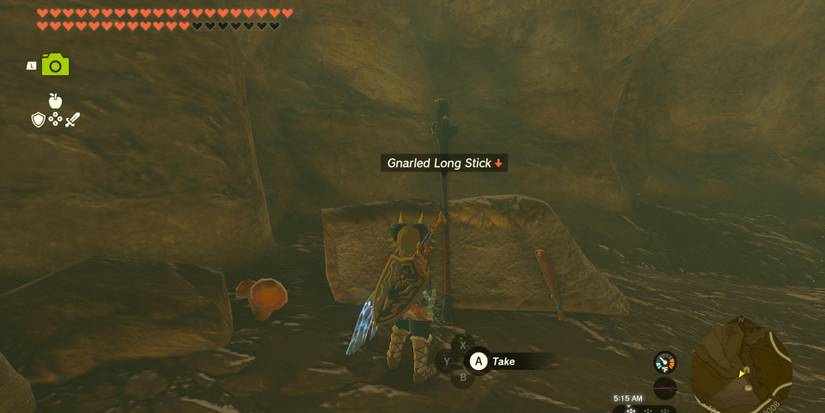 Gnarled Long Stick in Tears of the Kingdom