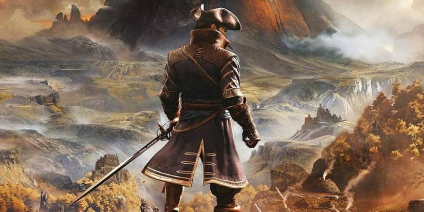 Player character looks out into the wild