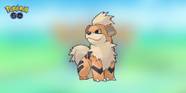 Pokemon GO Growlithe Spotlight Hour Guide How To Get Shiny Growlithe 