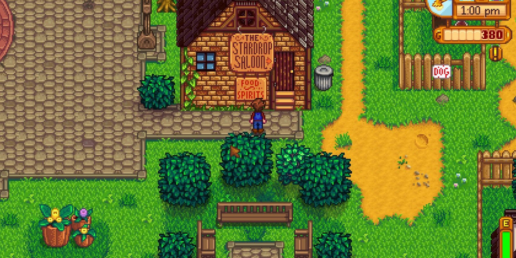 gus salon in stardew valley