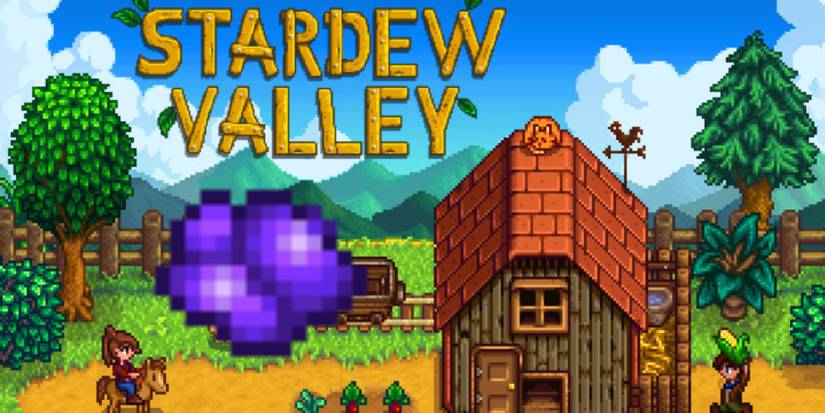 amethyst stardew valley