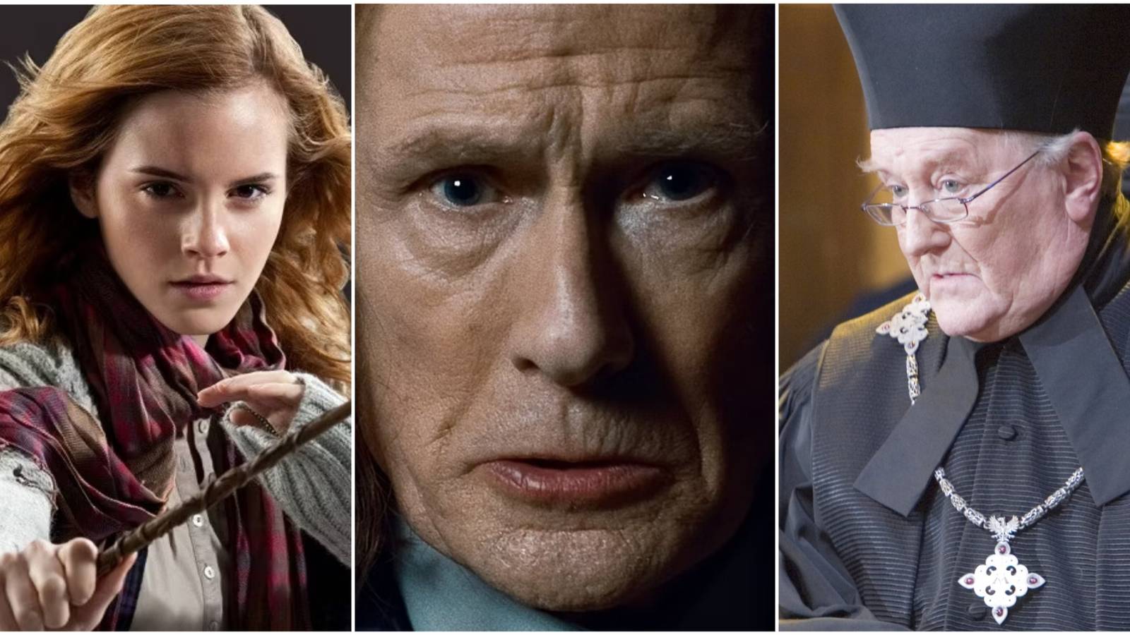 Harry Potter Best Ministers For Magic