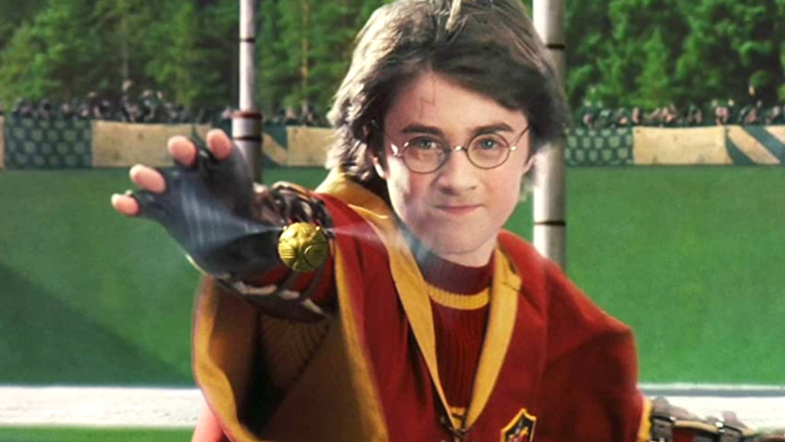 Harry Potter holding his hand up during a Quidditch game