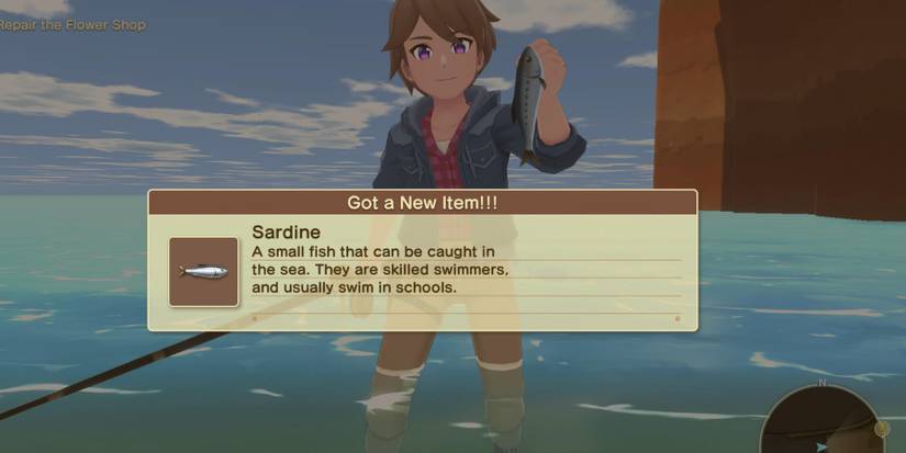 harvest-moon-winds-of-anthos-how-to-fish4