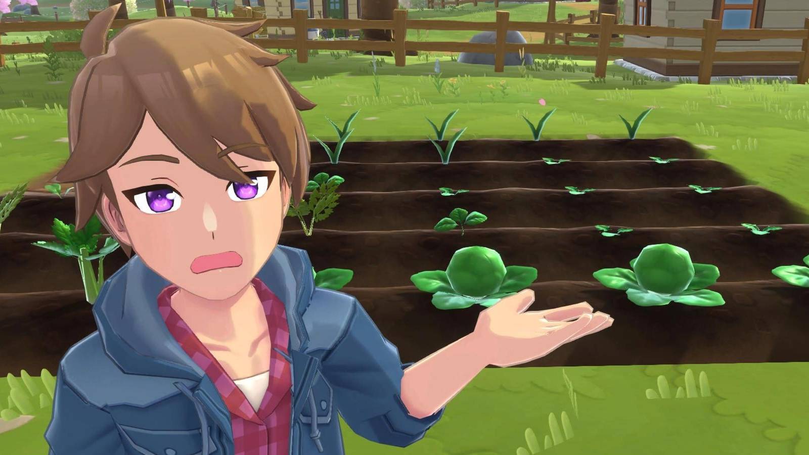 harvest-moon-winds-of-anthos-how-to-restore-stamina1