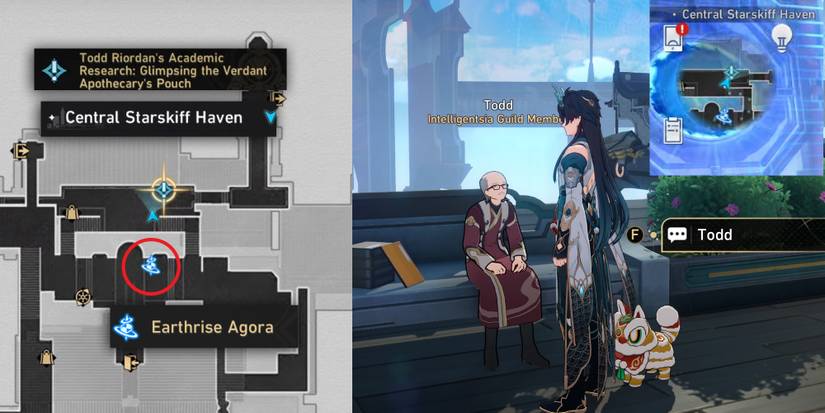 How to Start Todd Riordan's Academic Research Glimpsing the Verdant Apothecary's Pouch in Honkai Star Rail