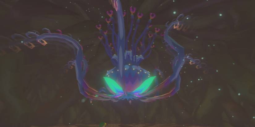 Kalle Demos Wind Waker Battle